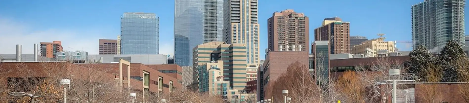 Anthropology - Biological Anthropology